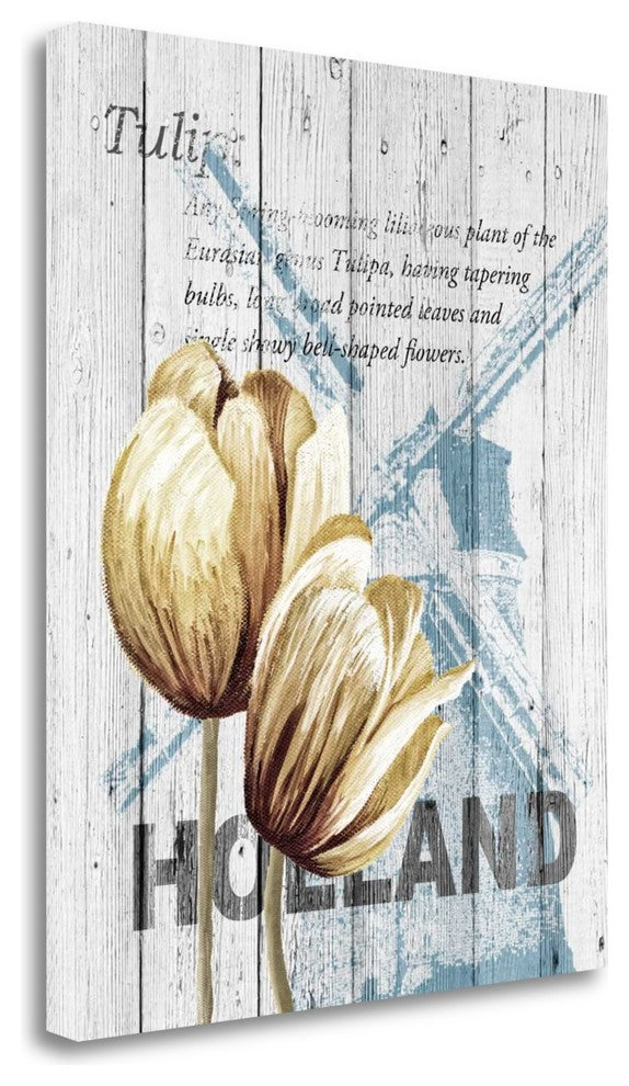 "Holland Tulips" By Alicia Soave, Giclee Print on Gallery Wrap Canvas