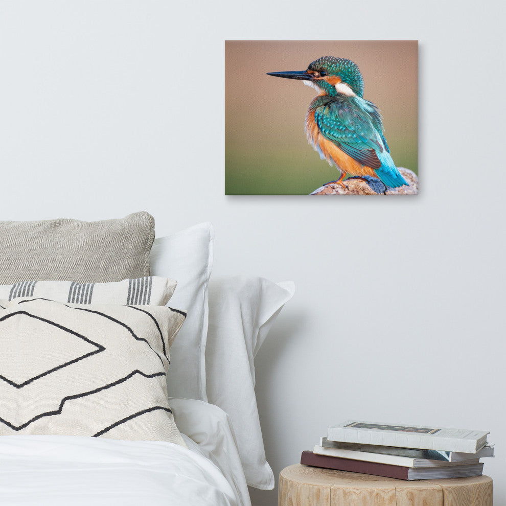 Common Kingfisher Bird on Perch Animal Wildlife Photograph Canvas Wall Art Print, 16" X 20"