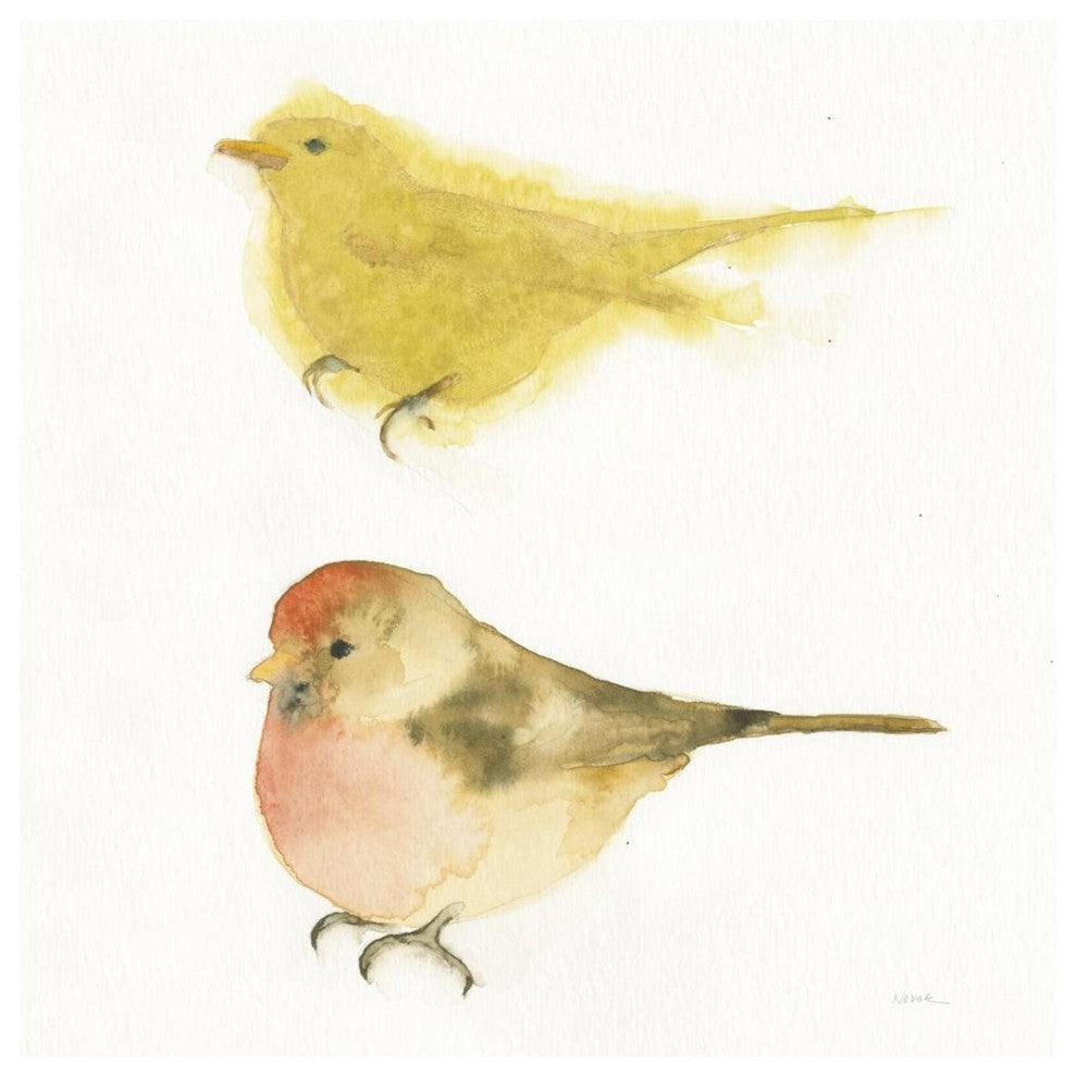 "Watercolor Birds I Sq" Digital Paper Print by Shirley Novak, 42"x42"