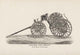 Four-Wheel Hose Carriage: to Be Drawn by One Horse - Canvas Poster 20" x 30"