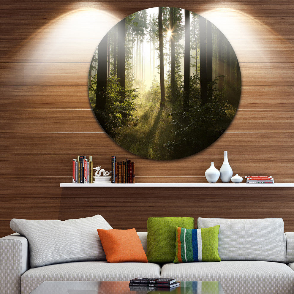 Early Morning Sun In Misty Forest, Landscape Round Metal Wall Art, 23"