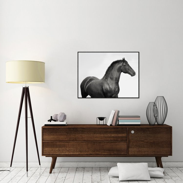 "King Mamba, Stallion" Framed Canvas Giclee by Pangea Images, 41x31"
