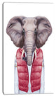 Elephant in Vest and Sweater, Contemporary Animal Art Canvas, 16"x32"