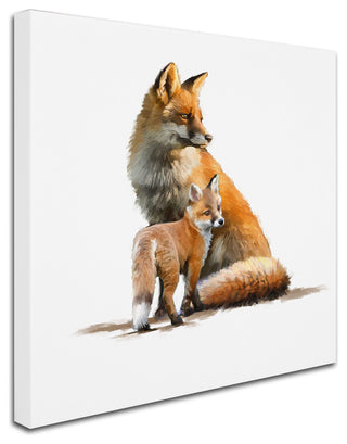 The Macneil Studio 'Fox' Canvas Art, 18"x18"