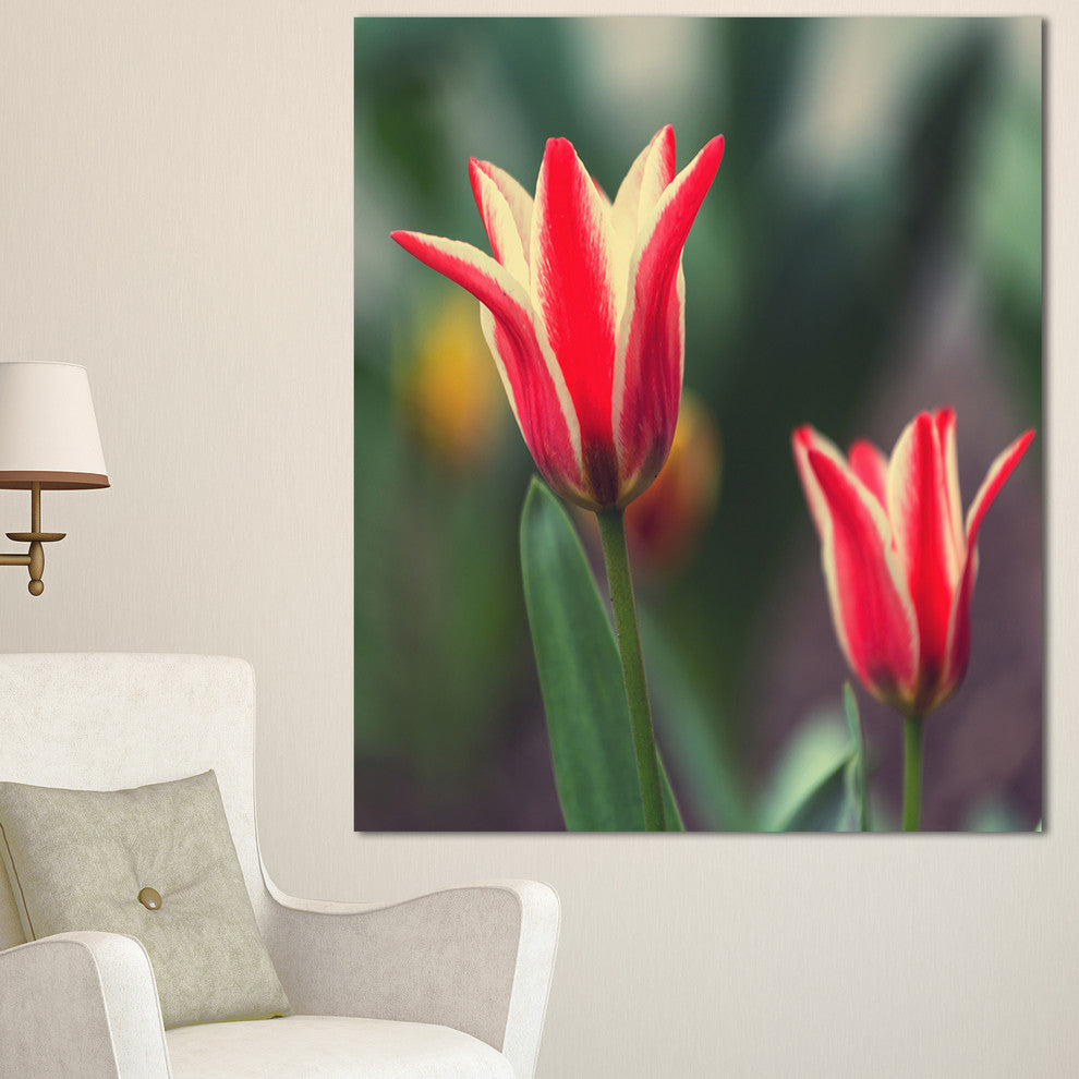 Large Tulips on Green Background, Large Flower Canvas Art Print, 30"x40"