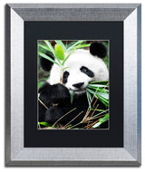 Philippe Hugonnard 'Giant Panda I' Art, Silver Frame, Black Matte, 14"x11"