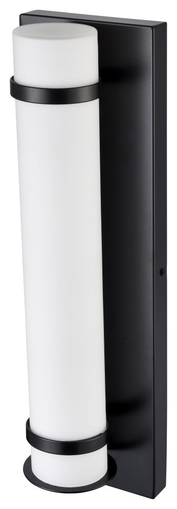 LED Light 6 in. Powder Coated Black Outdoor