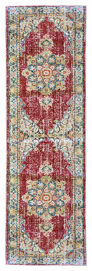 Ceniscia Haven Vintage Polyester Area Rug, Red, 2'6"x8'