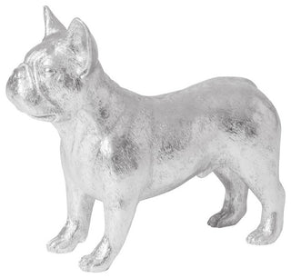 French Bulldog, Silver