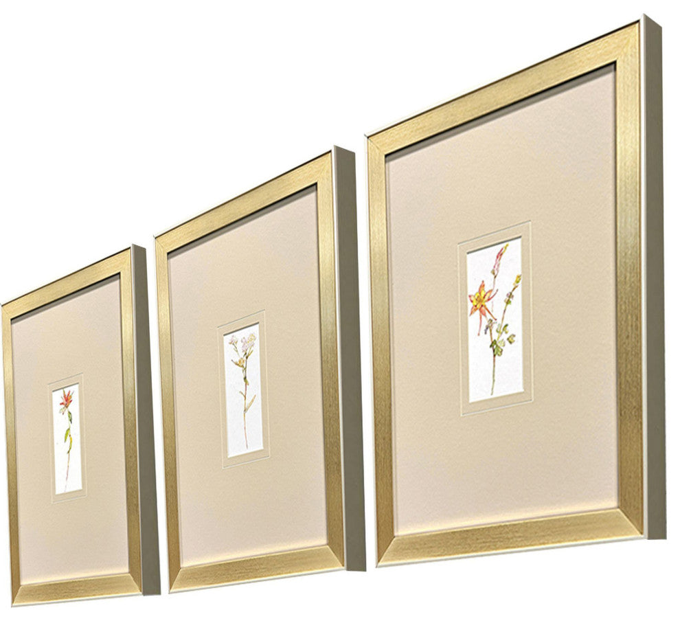 Pretty Florals II Framed Art, 3-Piece Set