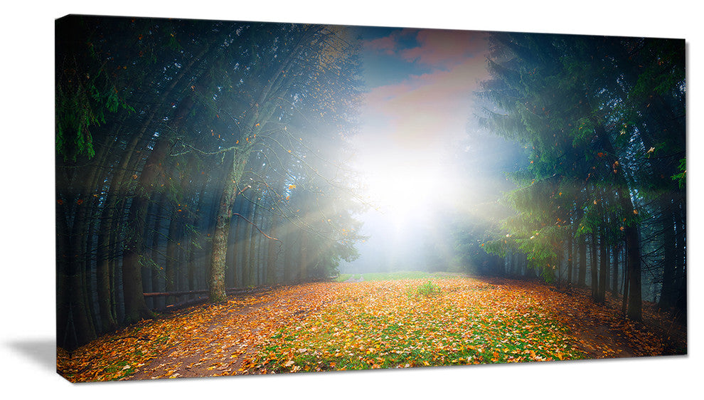 "Rising Sun Over Colorful Forest" Landscape Photo Wall Art, 32"x16"