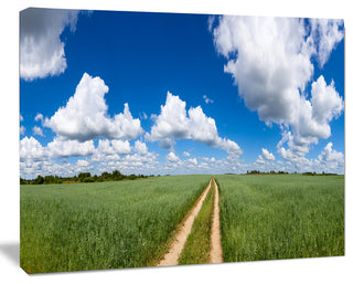 Path in Bright Summer Panorama, Landscape Canvas Art Print, 60x40