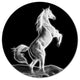 White Horse Sculpture, Animal Disc Metal Wall Art, 23"