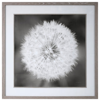Uttermost Dandelion Seedhead Framed Print