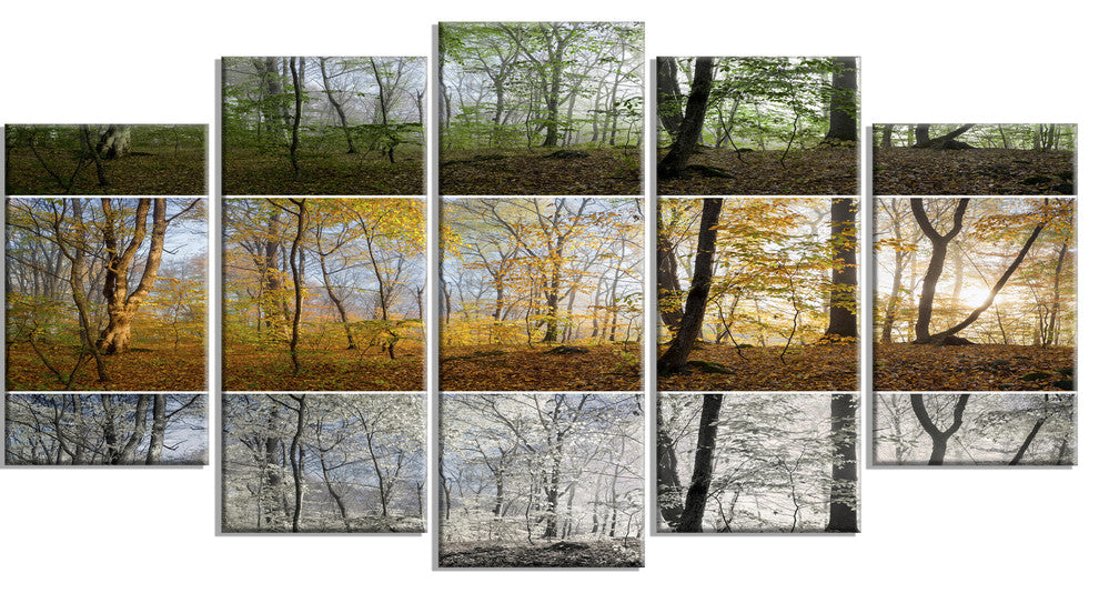 Three Seasons Forest Panorama, Landscape Canvas Art Print, 60"x32", 5 Panels