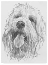"Goldendoodle" by Barbara Keith, Canvas Art