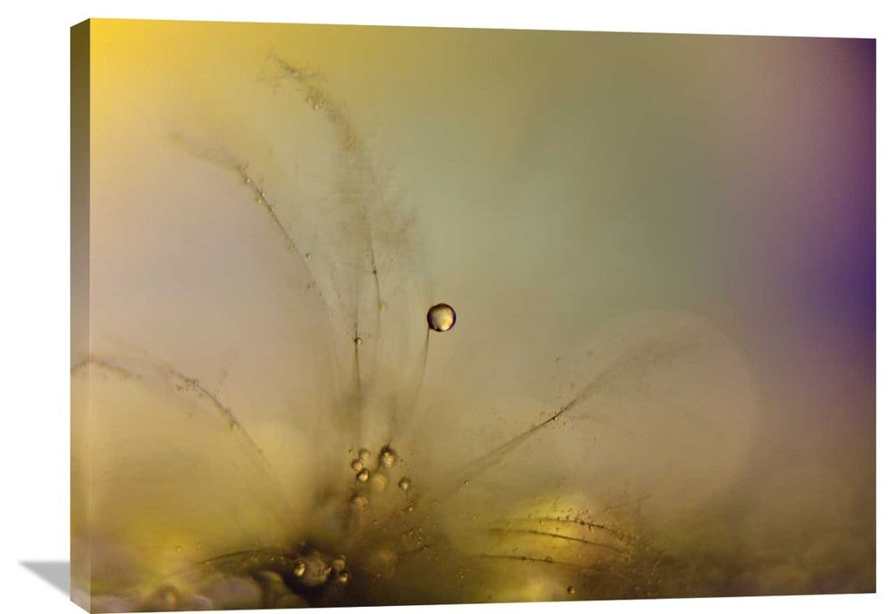 "Feeling Of A New Day" Stretched Canvas Giclee by Heidi Westum, 36x27"