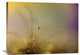 "Feeling Of A New Day" Stretched Canvas Giclee by Heidi Westum, 36x27"