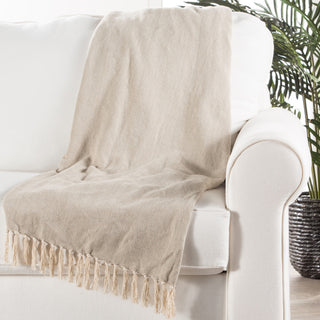 Jaipur Living Cannon Chevron Throw, 50x60, Neutral Gray