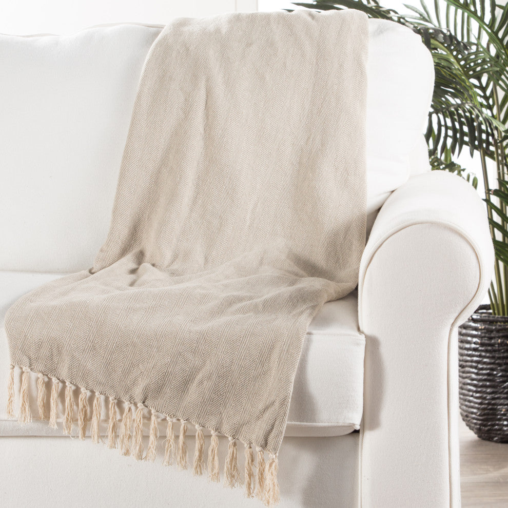 Jaipur Living Cannon Chevron Throw, 50x60, Neutral Gray