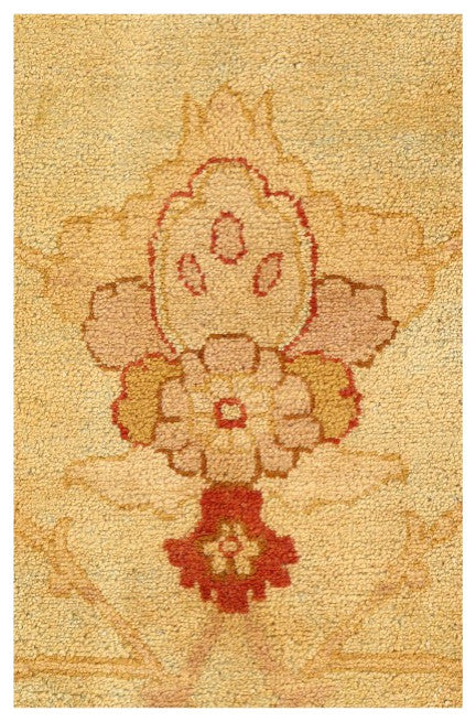 Beige Color hand Knotted Fine Agra 12'x18'