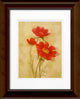 11"x14" Spicy Red Cosmos Matted Framed Art