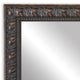 Hillsborough Framed Wall Mirror, Bronze, 20"x48"
