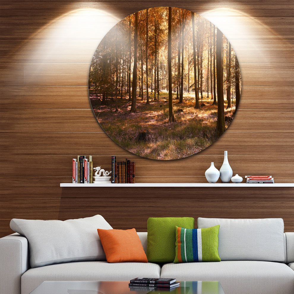 Thick Fall Forest With Orange Leaves, Photo Round Metal Wall Art, 11"