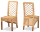 Ailey Natural Brown Rattan 2-Piece Dining Chair Set