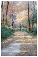 "Harvest Morning" Digital Paper Print by Diane Romanello, 26"x38"