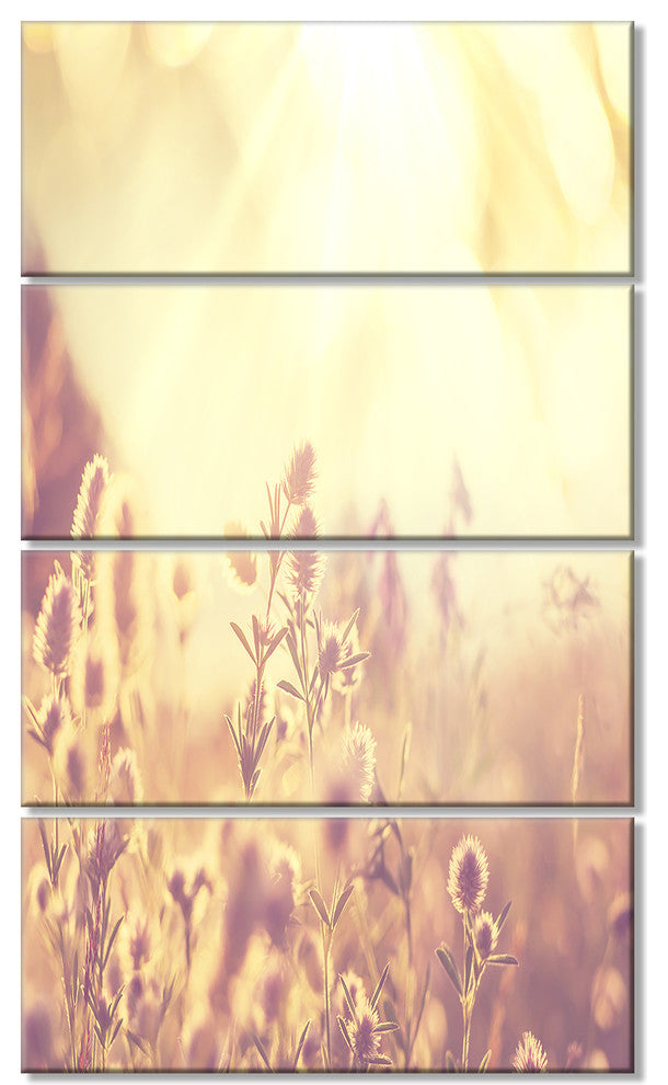 Flowers in Mountain Meadow At Sunset, Flower Canvas Wall Art, 28"x48", 4 Panels