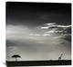 "15 Minutes Of Happiness" Stretched Canvas Giclee by Piet Flour, 36x36"