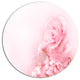 Beautiful Rose In Magic Light, Portrait Disc Metal Wall Art, 11"