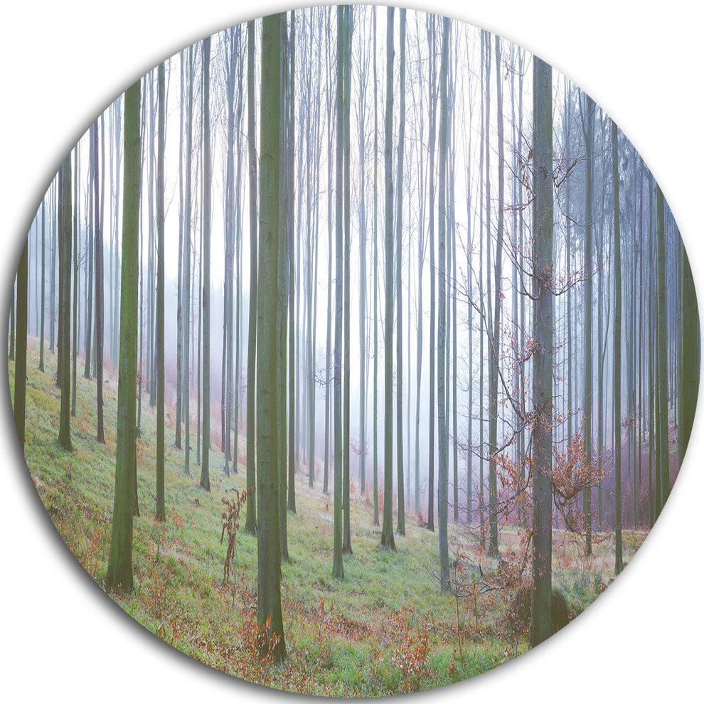 Autumn Tree Trunks Panorama, Forest Round Metal Wall Art, 23"