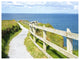 Cliff Walk on Wild Atlantic Way, Landscape Canvas Art Print, 40"x30"