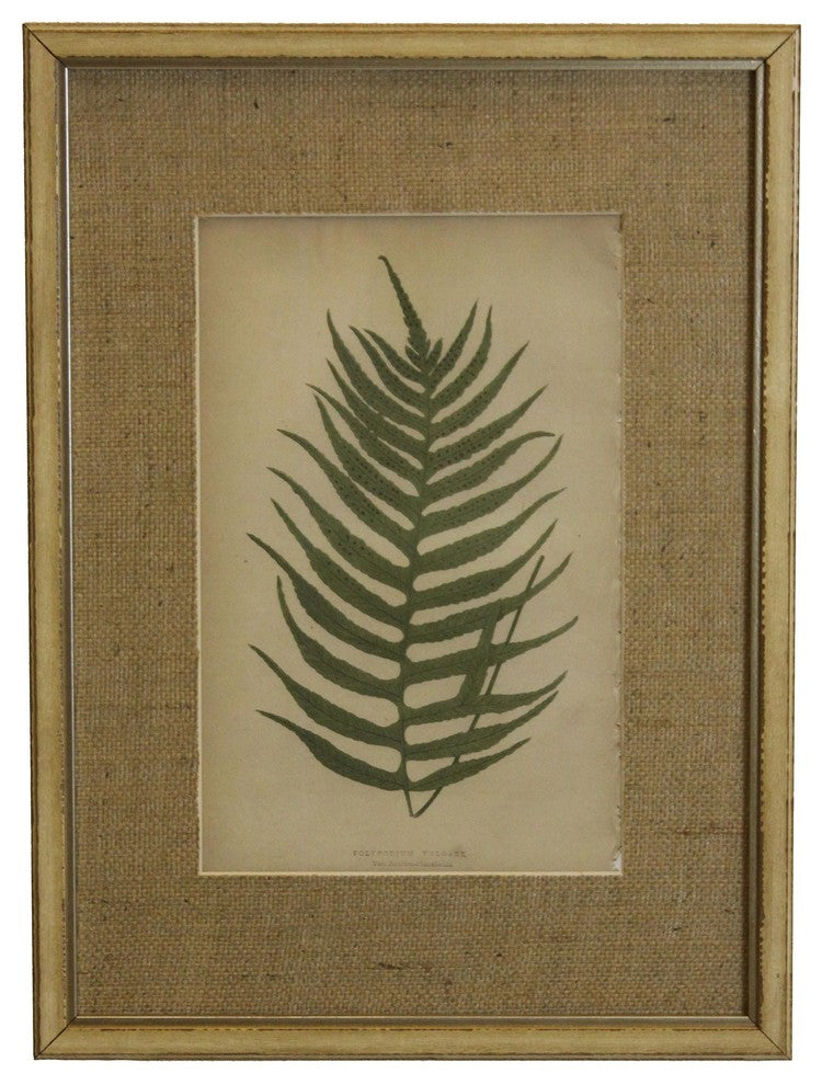 Fern Print With Burlap Mat