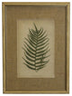 Fern Print With Burlap Mat