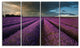 Lavender Field and Dramatic Sky, Floral Canvas Art Print, 48"x28", 4 Panels