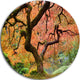 Autumn Maple Tree, Landscape Photography Round Wall Art, 23"
