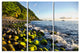 Christopher Doherty ''On the Rocks'' Canvas Wall Art (3-piece)
