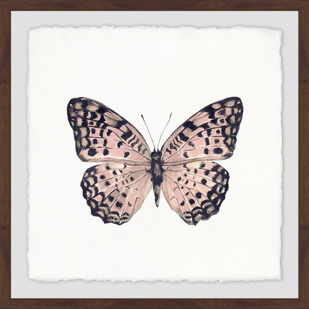 "Pink and Black Butterfly" Framed Painting Print, 24"x24"