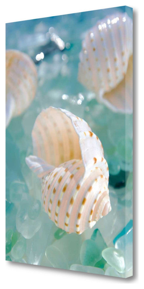 24" Seashell and Seaglass Giclee Wrap Canvas Wall Art