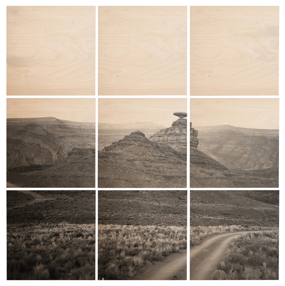 Deny Designs Catherine Mcdonald Desert Southwest Wood Wall Mural, 3'x3'