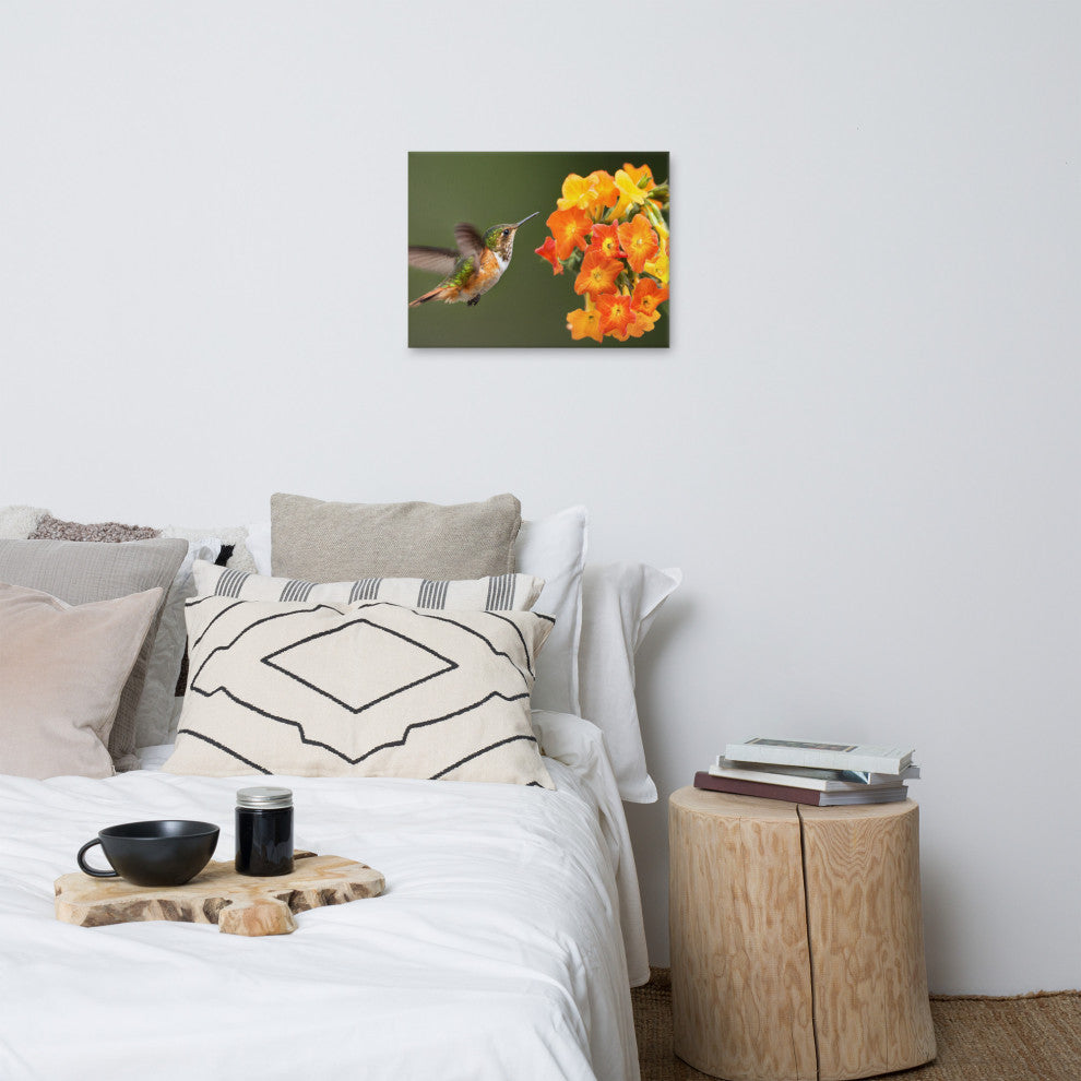 Hummingbird Little Yellow-Orange Flowers Wildlife Photo Canvas Wall Art Prints, 18" X 24"