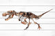 "Big T-Rex Skeleton" Painting Print on White Wood, 18x12