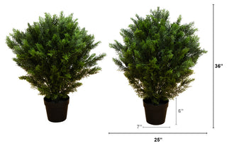 Infographic-style image with measurements and layout information overlayed on the product.
