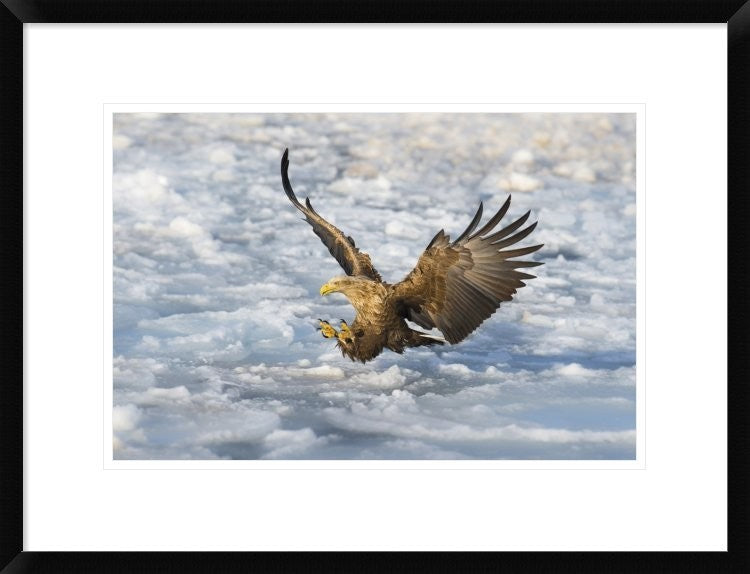 "Coming" Framed Digital Print by C. Mei, 26"x20"