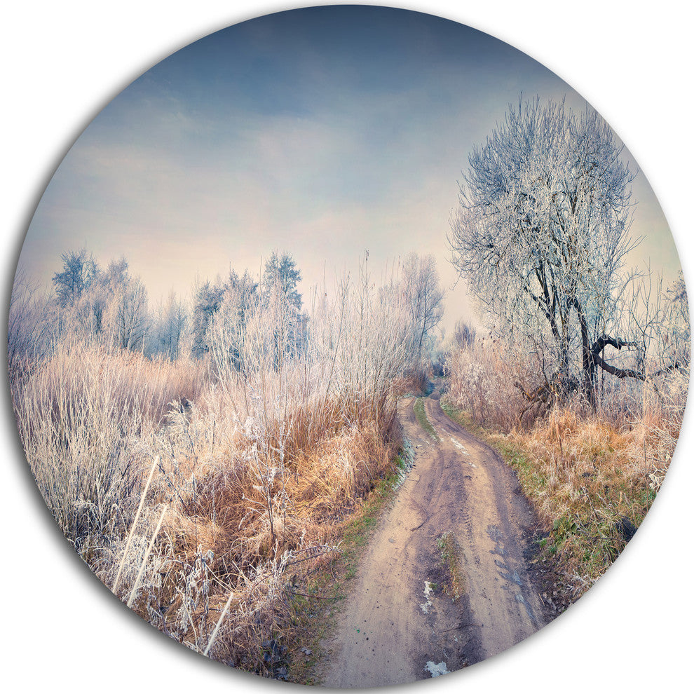 First Frost In Forest, Landscape Photography Disc Metal Artwork, 11"