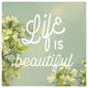 "Spring Beauty I Square" Digital Paper Print by Sue Schlabach, 26"x26"