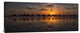 "Sunset Camel Safari" Stretched Canvas Giclee by Louise Wolbers, 40x16"